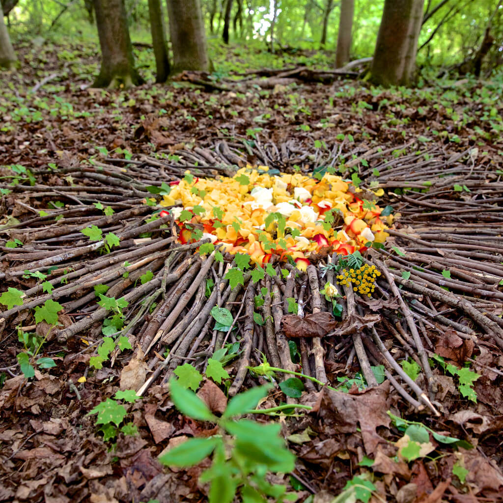 Die Natur als Kraftort